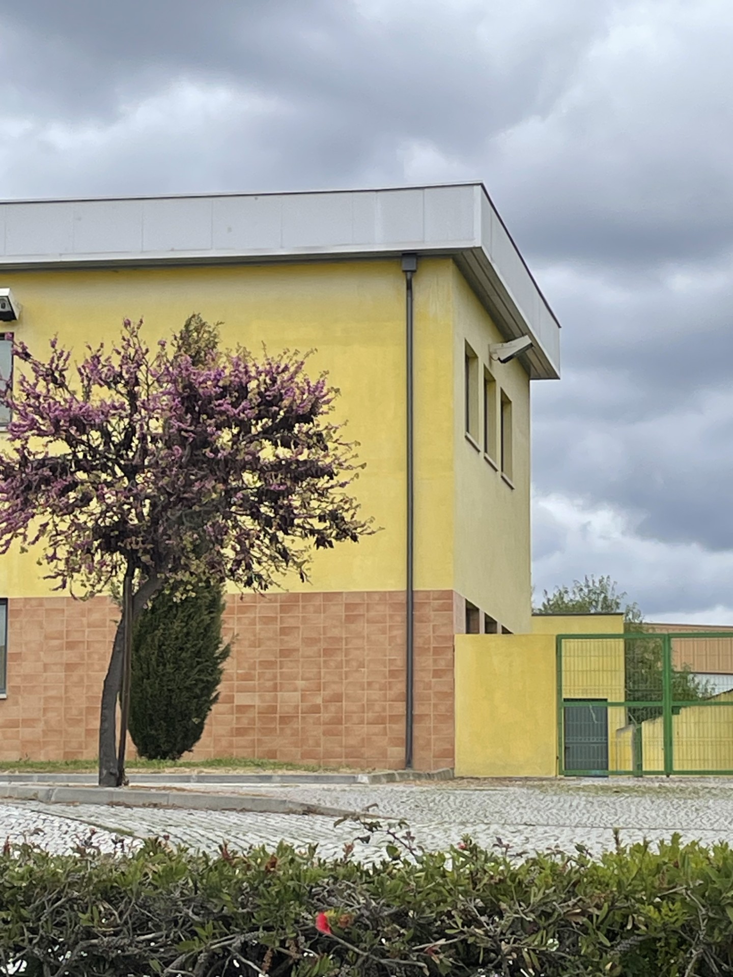 Serviço 3